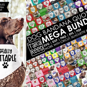 MEGA lot de citations bandana pour chien | Bandanas DIY pour chien