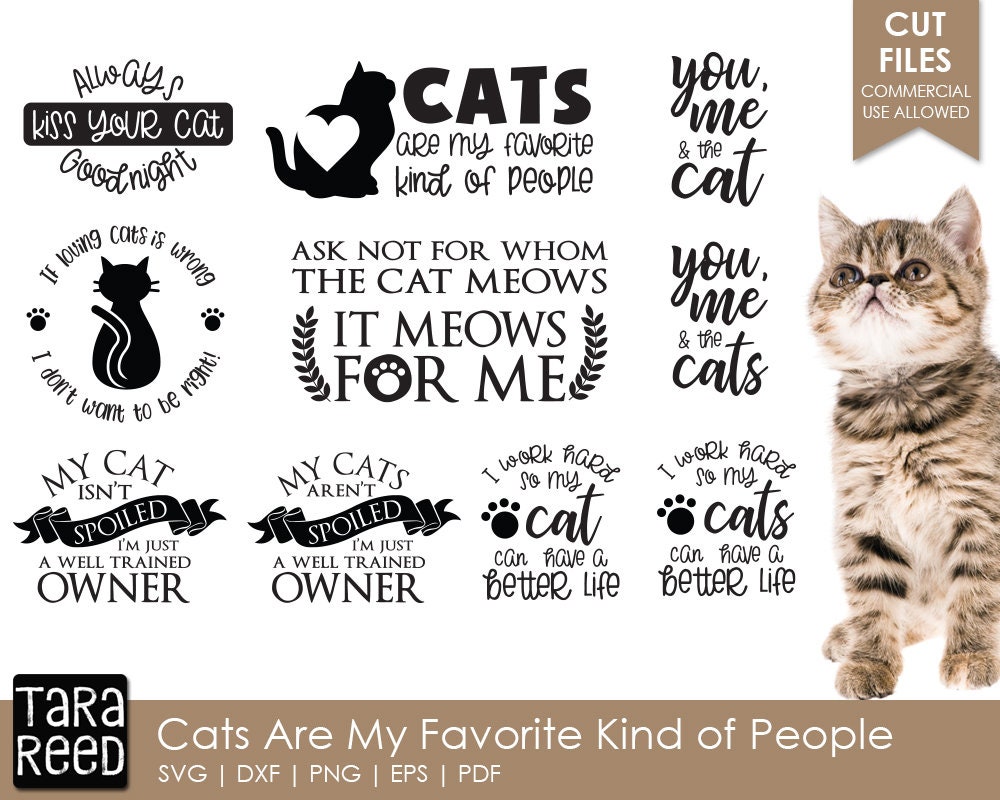 Download Cats Are My Favorite Kind of People Cat SVG and Cut Files ...