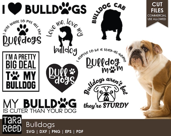 Download Bulldog SVG and Cut Files for Crafters | Etsy