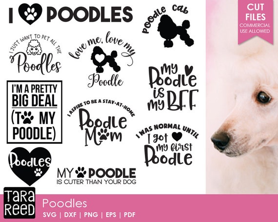 Poodle Svg And Cut Files For Crafters Etsy