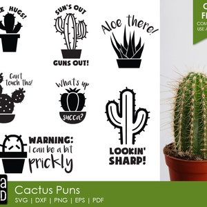 Cactus woordspeling - Cactus SVG- en snijbestanden voor knutselaars