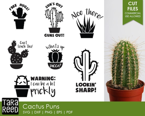 Kaktus Wortspiel - Kaktus SVG und Schnittdateien fr Handwerker - Etsy.de