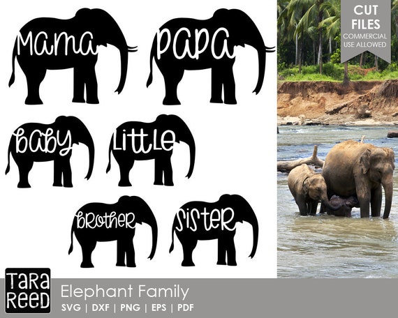 Download Elephant Family Family Svg And Cut Files For Crafters Etsy