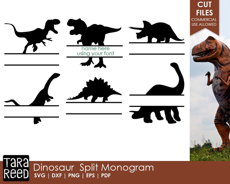 Download Dinosaur Split Monogram Dinosaur SVG and Cut Files for | Etsy