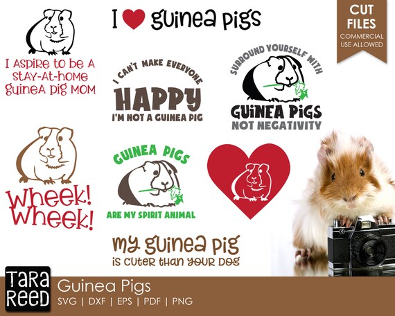 Guinea Pig Svg And Cut Files For Crafters Etsy