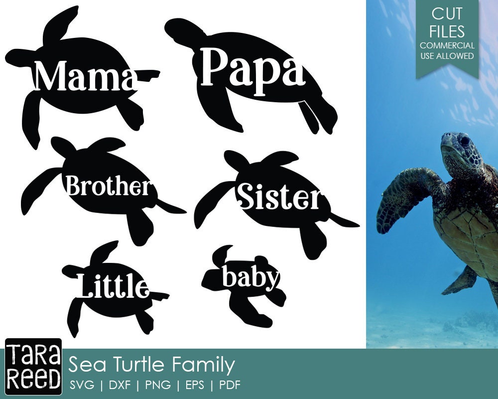 Family Turtle Graphics Sea Turtle Family - Sea Turtle SVG and Cut Files for Crafters - Etsy ...