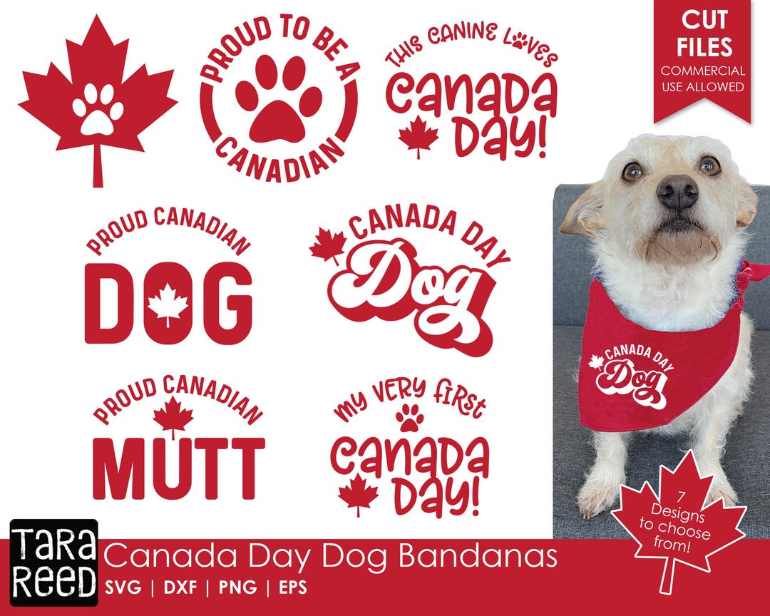 Canada Day Dog Bandanas Canadian SVG and Cut Files for Etsy