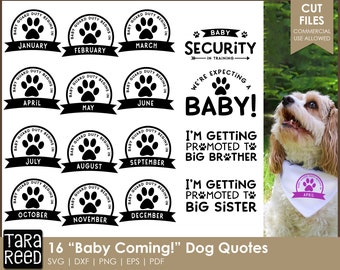 Preparing dog for new baby | Dog Bandana Quotes