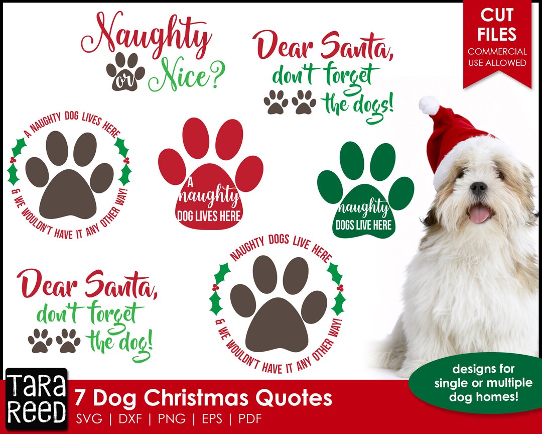 Dog Christmas Quotes Dog SVG and Cut Files for Crafters Etsy