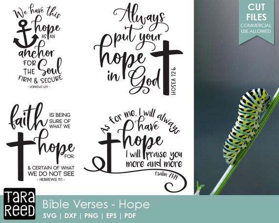 Download Bible Verses About Hope Bible Verse Svg And Cut Files For Etsy