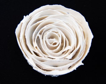 Contemporary Porcelain wall art, white rose, minimalist wall art