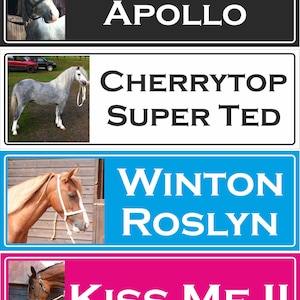 Personalized Horse Stable Sign - Custom Name / Colour Options | Durable, Weather-Resistant | Perfect Gift for Horse Lovers & Barn Owners