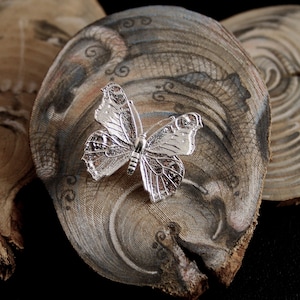 FLIGHT brooch, sterling silver