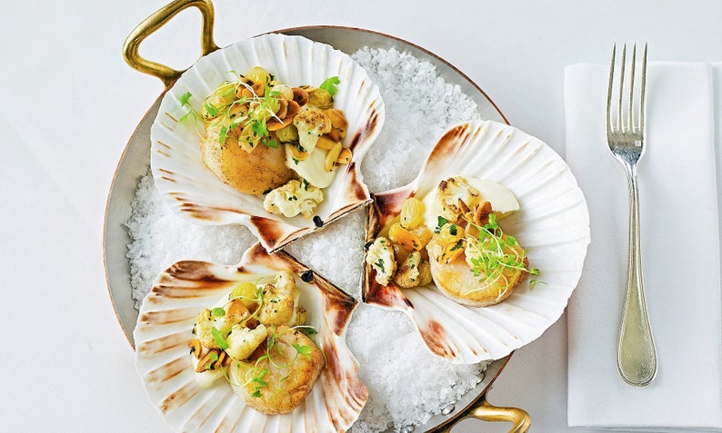 UK Scallop Shells. Sea Washed Natural. Pack of 10 Shells. - Etsy
