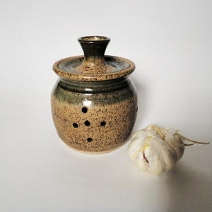 May include: A brown and green ceramic garlic keeper with a lid and holes for ventilation. A whole garlic bulb is sitting next to the keeper.