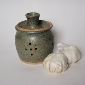 May include: A green ceramic garlic keeper with holes for ventilation. Two white garlic bulbs are in front of the keeper.