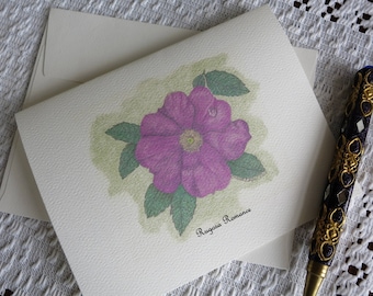 Rugosa Rose Note Cards Illustrated with Pen and Ink and Colored Pencil -"Rugosa Romance"