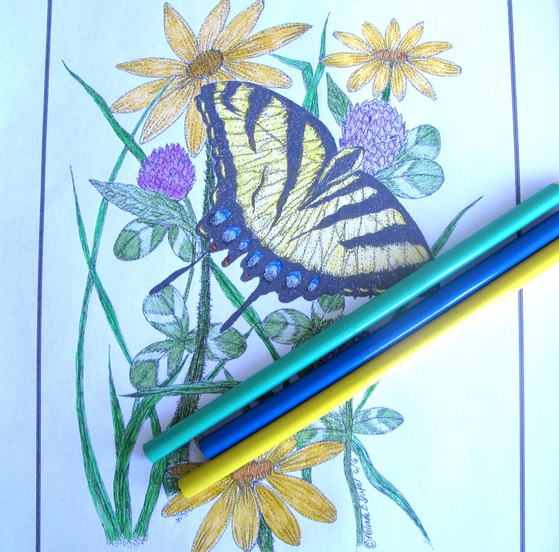 Butterfly Coloring Page of Tiger Swallowtail Hand Drawn With | Etsy