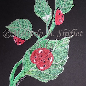 May include: A black background with a green leaf stem with three red ladybugs. The ladybugs have black spots. The stem is outlined in silver. The leaves are green with silver veins.