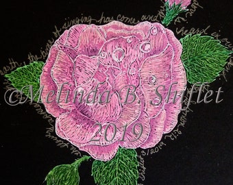 Pink Rose Original Pen and Colored Pencil Drawing - "The flowers appeared"