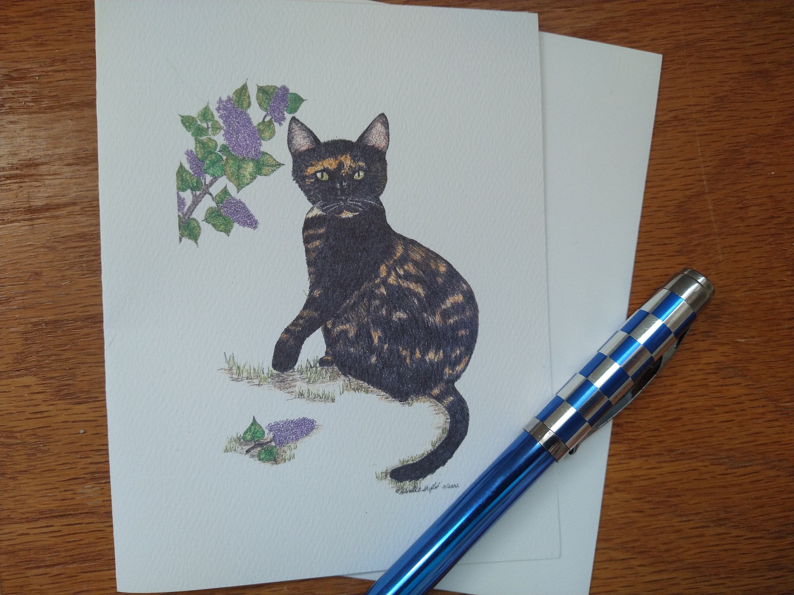 Tortoiseshell Cat Note Cards - Etsy