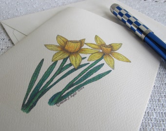 Yellow Daffodil Note Cards Illustrated with Pen and Ink and Colored Pencil