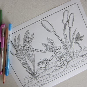Dragonflies and Waterlillies Coloring Page