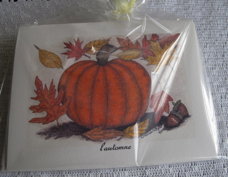 Note Cards with Pen and Ink Drawing of Pumpkin and Autumn ...