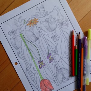 Song of Solomon 2:12 Coloring Page