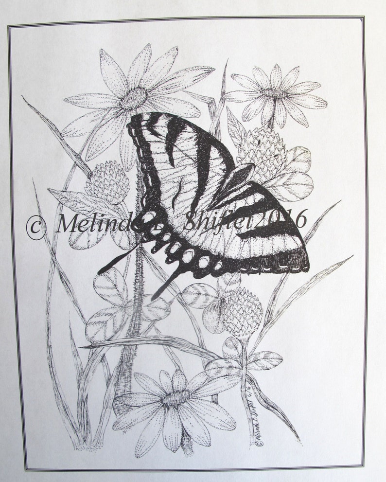 Butterfly Coloring Page of Tiger Swallowtail Hand Drawn With | Etsy