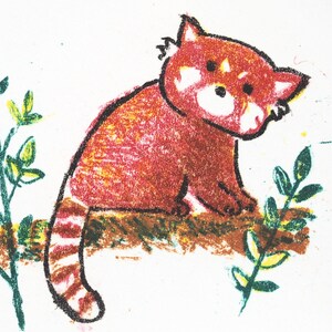 Red Panda Lithography Print Postcard size original hand pulled limited edition image 2