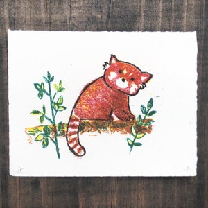Red Panda Lithography Print Postcard size original hand pulled limited edition image 1