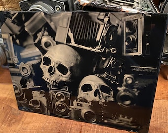 Vintage Cameras With Skulls, Original Tintype