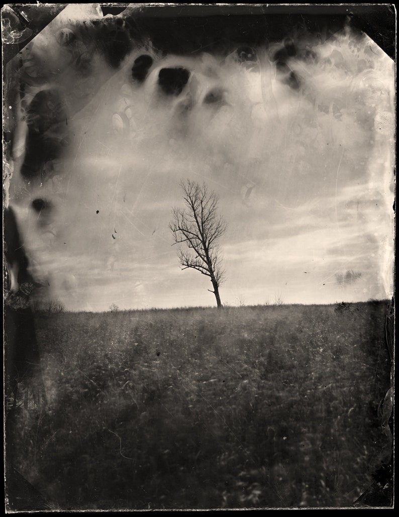 Wet Plate Collodion Photography Print Tree Landscape Fine Art Print