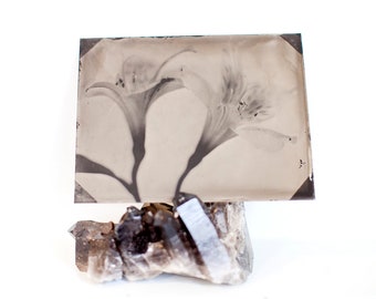 Two Flowers, Original Tintype