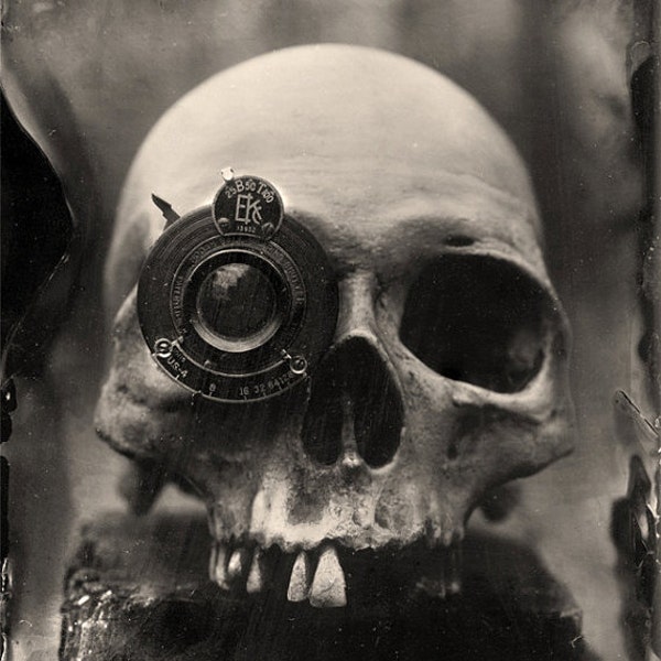 Wet Plate Collodion Photography Print - Skull with lens eye Still Life - Fine Art Print - Signed Print- Wall Art - 8.5x11 print