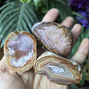 Polished Botswana Agate Nodule Halves, Natural Cut Rocks (3 Individual Rocks)