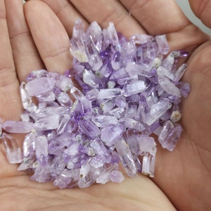 May include: A handful of small, raw amethyst crystals. The crystals are a pale purple color with clear, pointed tips. The crystals are clustered together, filling the palm of a hand.