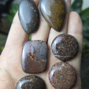 Dinosaur Bone Cabochon Lot: Fossil Jewelry Making, Rock Collecting