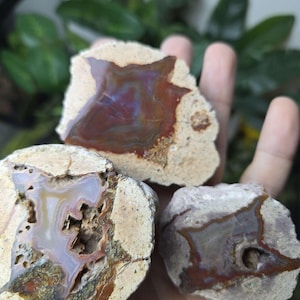 St. Egidien Red Agate Thunderegg Geodes, German Mineral Specimen, 3 Individual Rocks