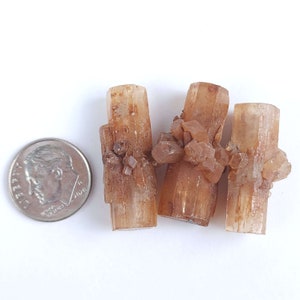 May include: Three light brown aragonite crystal clusters with a dime for size comparison. The crystals have a columnar structure with small, darker brown crystal formations. The crystals are on a white background.