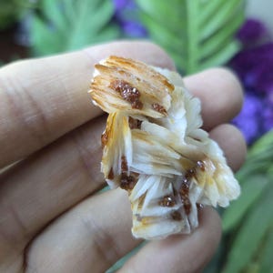 Rare Red Vanadinite on White Barite Mineral Specimen with Crystal Clusters, Mibladen Morocco, Rock and Mineral Specimen