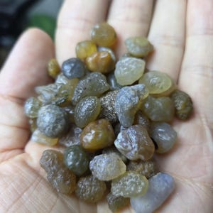 Peut inclure: Un ensemble de petits galets lisses et polis dans des tons de jaune, de vert et de gris. Les pierres ont un aspect naturel et organique et varient en taille et en forme. Idéal pour l'artisanat ou la décoration.