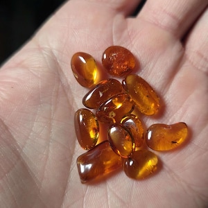 May include: A collection of polished amber stones, each with a warm, translucent, golden-brown hue. The stones vary in size and shape, with smooth, rounded edges. The amber pieces are displayed in a hand.