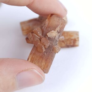 May include: A cluster of light brown aragonite crystals, held by a hand, against a white background. The crystals have a radiating, elongated structure, with a slightly rough texture and a warm, earthy tone. Other crystals are visible in the background.