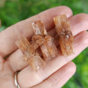 May include: Three aragonite crystal clusters in shades of tan and brown are held in a hand. The crystals have a rectangular shape with small, clustered formations on the surface. The background is blurred green.