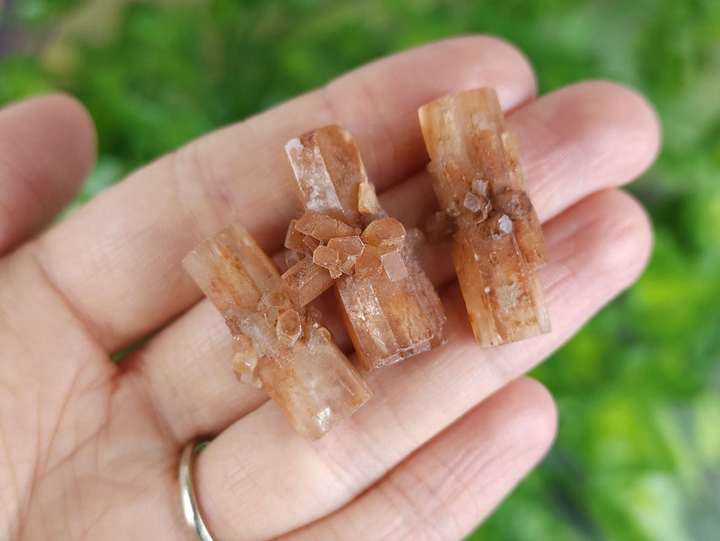 May include: Three aragonite crystal clusters in shades of tan and brown are held in a hand. The crystals have a rectangular shape with small, clustered formations on the surface. The background is blurred green.