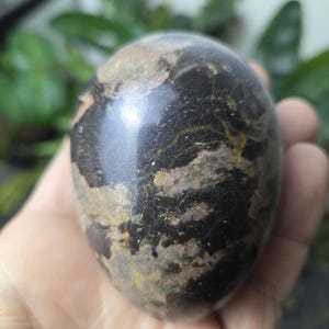 May include: A polished, egg-shaped stone with a dark, mottled appearance. The stone features a mix of black, brown, and tan colours, with a glossy finish. The egg is held in a hand, showcasing its size and shape. This decorative stone is a unique home decor item.