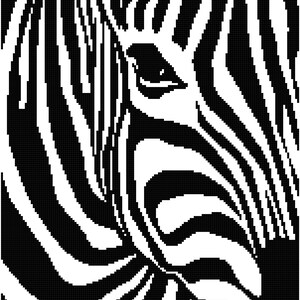 May include: A close-up black and white image of a zebra's face. The zebra's stripes are bold and create a striking pattern.
