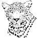 see more listings in the Animal graph Patterns section